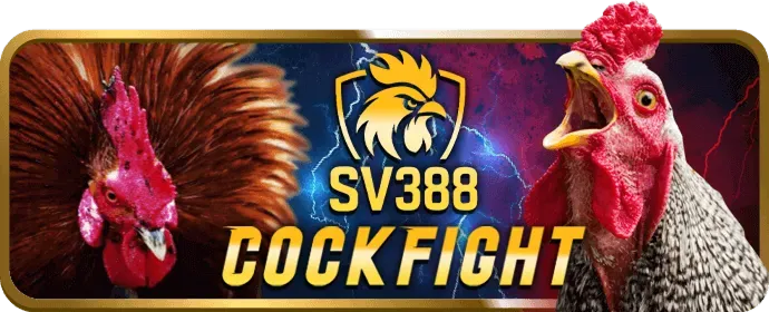 Trò chuyện trực tuyến b29 game bài