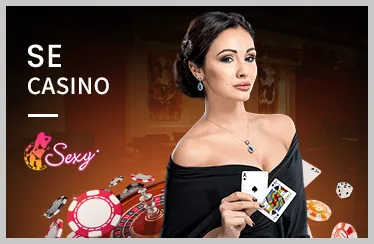 Video Slot B29